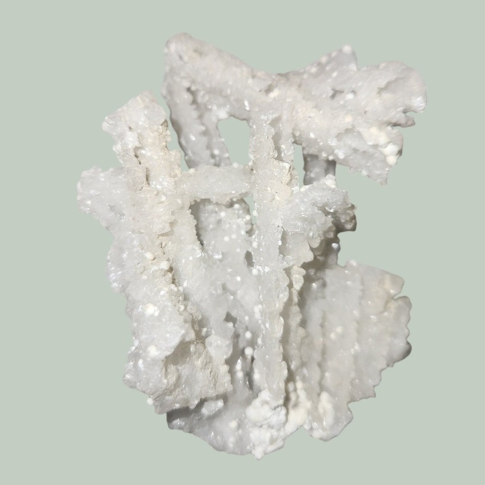 Natural White Aragonite Flos Ferri Crystal Cluster‎ Branching Mineral Specimen